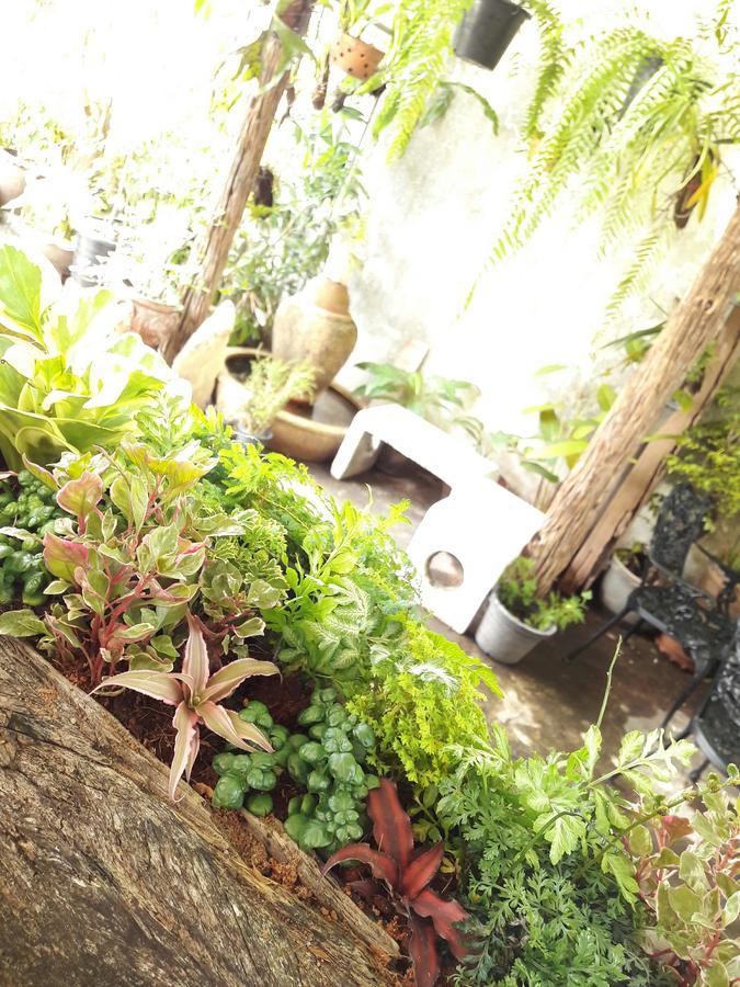 Muang Khon Guest House Nakhon Si Thammarat Eksteriør billede